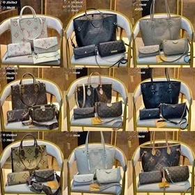 Louis Vuitton LV Bags Set (40 style)-0175  