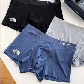 DESCENTE LAPERLA patagonia Burberry The North Face Chrome Hearts  Men's shorts-1600  