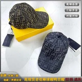 FD 2025 Fenjia FF classic fashion sunshade travel Baita baseball cap-2308  