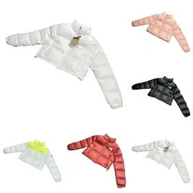 THE NORTH FACE Nuptse stitching letter embroidery stand collar short bread long sleeve down jacket-4268  