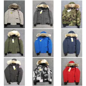 Canada Goose FW22 Everleigh Series Single-Breasted Hooded Badge Label Down Jacket-4278  