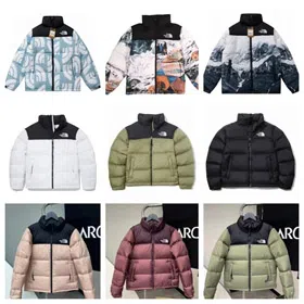THE NORTH FACE letter embroidery stand collar short bread long sleeve down jacket -4300  