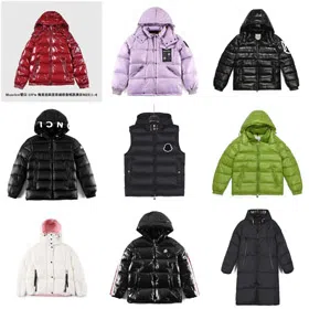 Moncler Hanoverian Series Ski Season Hooded Thick Warm Down Jacket-4327  