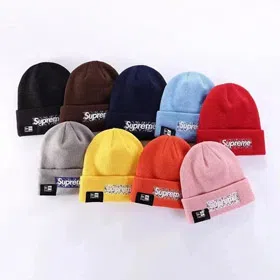 Supreme Embroidered Warm Knit Hat-4995  