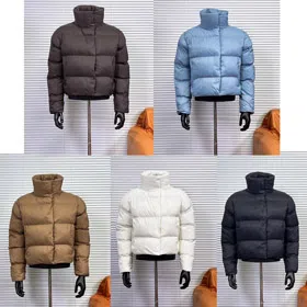 ALO Solid Color Short High-Neck Down Jacket-5057  